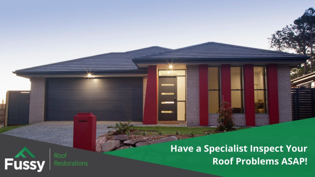 roofing repair specialist